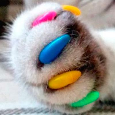 антицарапки для кошек