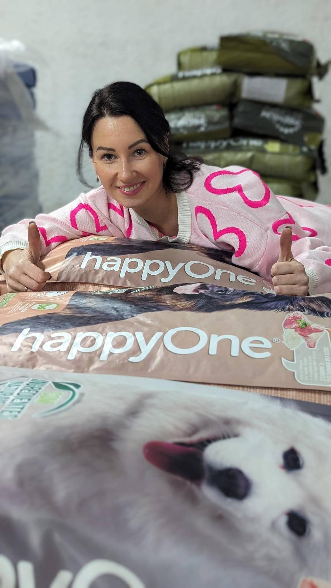 Двойная керамическая миска на подставке - ZooGadgets