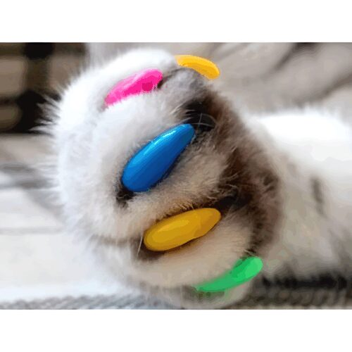 антицарапки для кошек котов