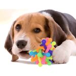 м'ячик для собак із трубок