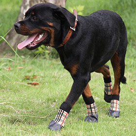 Характеристики Trixie Защитные носки для собак, серый