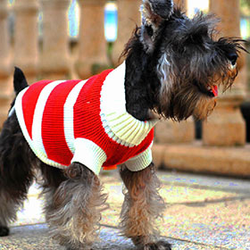 свитер для собак