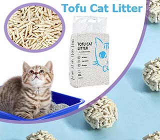 тофу для кошек