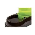 миска кішок собак