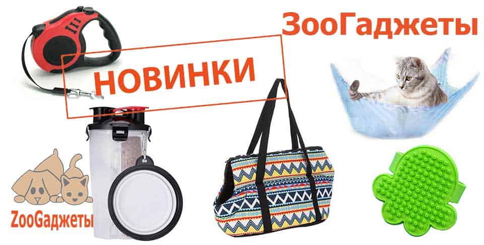 зоогаджеты новинки