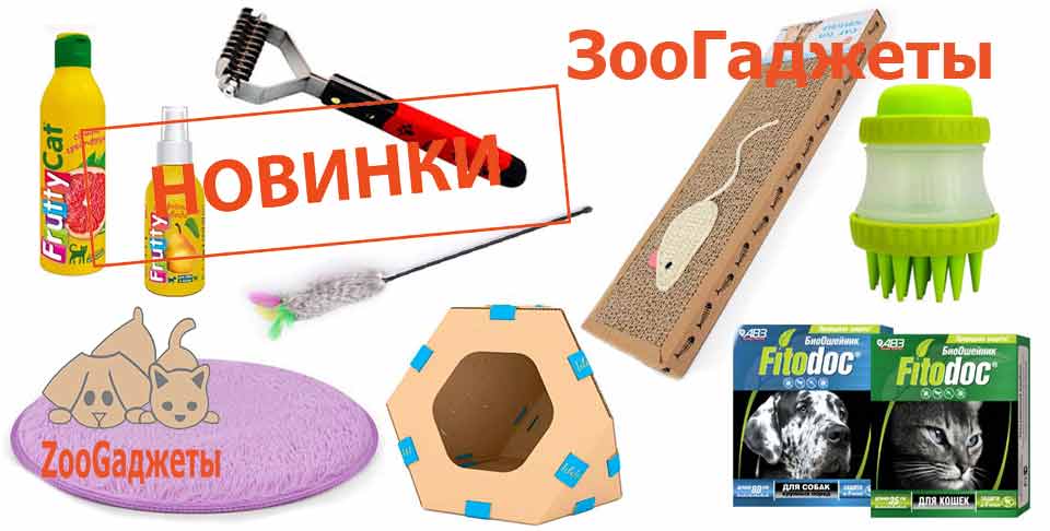зоотовары и гаджеты