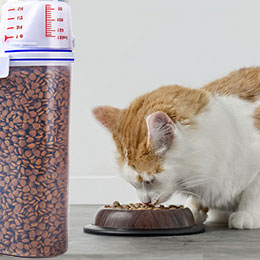 контейнер для корма кошек