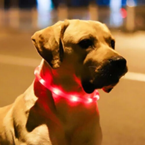 светящийся ошейник для собак