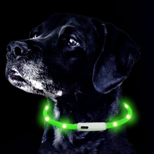 ошейник для собак светящийся
