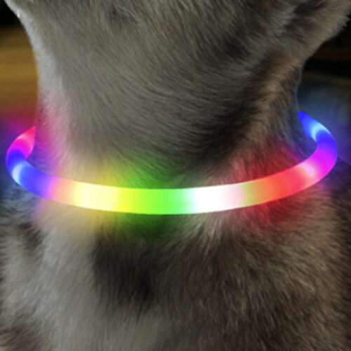 ошейник светящийся с зарядкой usb