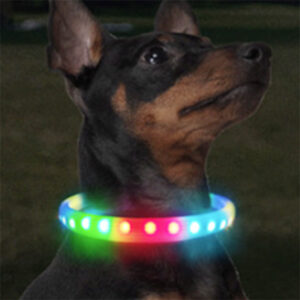світиться нашийник usb для собак