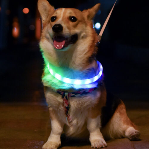 нашийник що світиться usb led