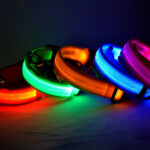 светящийся ошейник для собак