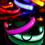 светящийся ошейник