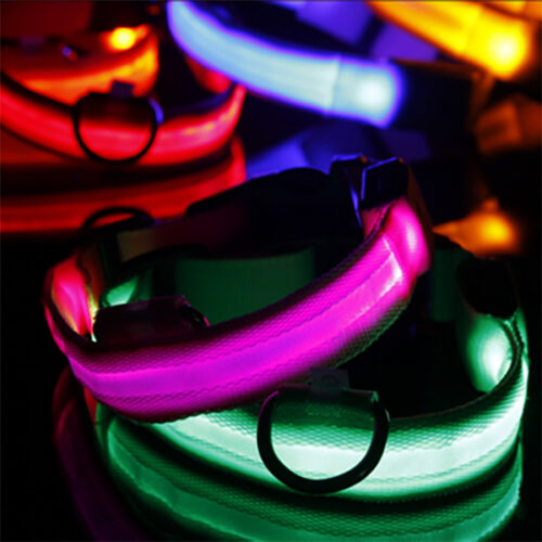 светящийся ошейник