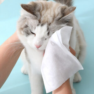 вологі серветки для собак та кішок