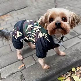Купить одежду для собак в интернет магазине centerforstrategy.ru