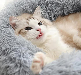 пуфик лежак для кошек