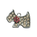 адресник для собак