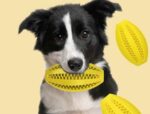мячик чистит зубы собак