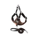 шлея поводок собак