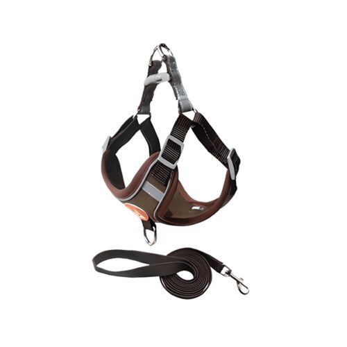 шлея поводок собак