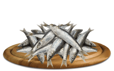 happyone-sardine