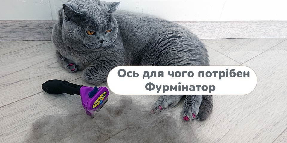 для чего нужен фурминатор