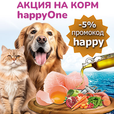 акция хеппиван happyone акция
