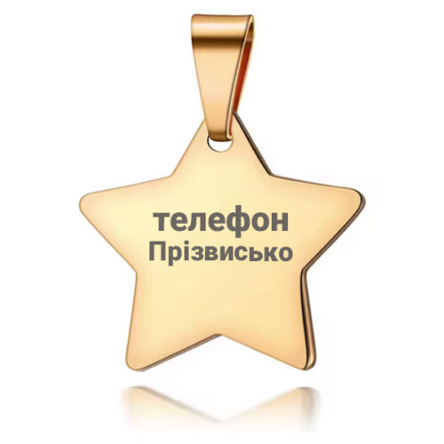 адресник стальная звезда для собак и кошек