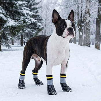 налапники взуття собак