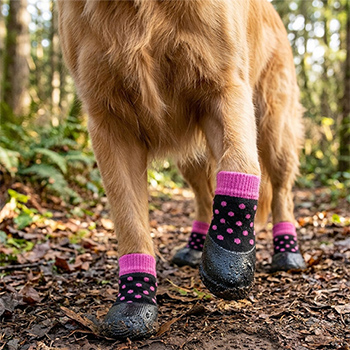 налапники взуття собак