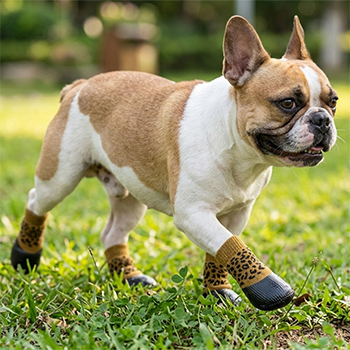 налапники взуття собак