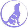 dog_small_senior1