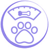 dog_small_senior5